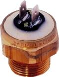 WOLF Sicherungsthermostat Pumpe 95C